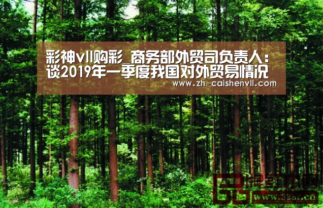 彩神vll购彩_商务部外贸司负责人:谈2019年一季度我国对外贸易情况(图3) 彩神vll购彩