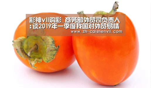 彩神vll购彩_商务部外贸司负责人:谈2019年一季度我国对外贸易情况(图2) 彩神vll购彩