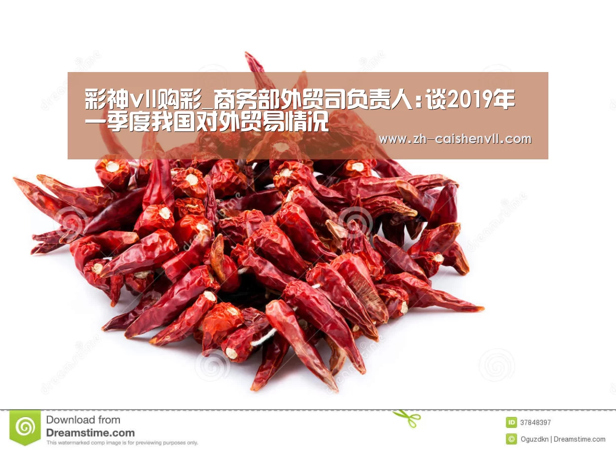 彩神vll购彩_商务部外贸司负责人:谈2019年一季度我国对外贸易情况(图4) 彩神vll购彩
