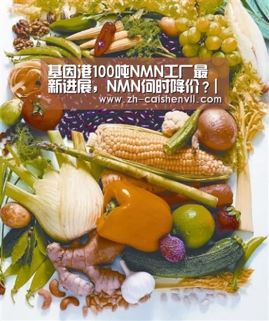 基因港100吨NMN工厂最新进展,NMN何时降价?|彩神vll购彩(图1) 彩神vll购彩