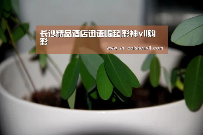 彩神vll购彩