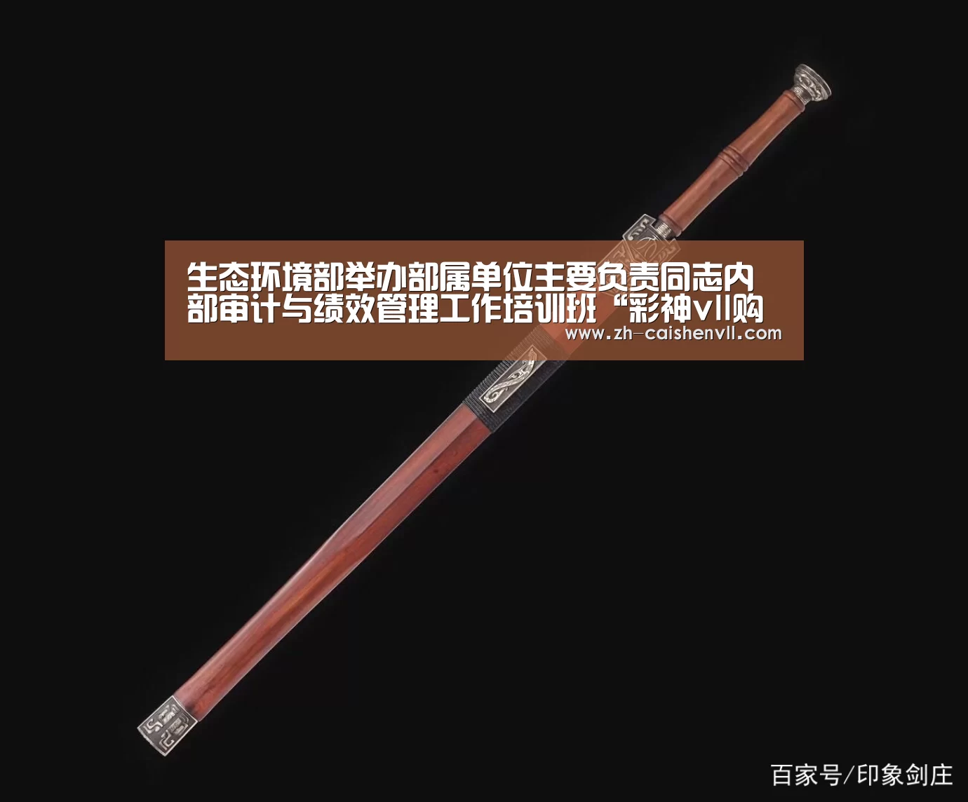 生态环境部举办部属单位主要负责同志内部审计与绩效管理工作培训班“彩神vll购彩”(图2) 彩神vll购彩