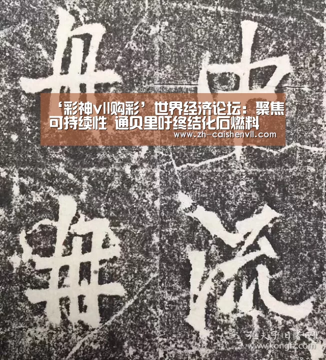 ‘彩神vll购彩’世界经济论坛:聚焦可持续性 通贝里吁终结化石燃料(图1) 彩神vll购彩