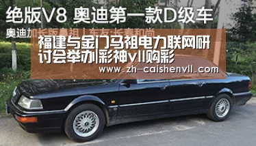 福建与金门马祖电力联网研讨会举办|彩神vll购彩(图2) 彩神vll购彩
