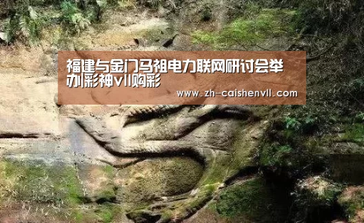 福建与金门马祖电力联网研讨会举办|彩神vll购彩(图3) 彩神vll购彩
